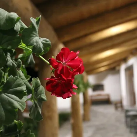 דירה Komfort Badacsonytördemic