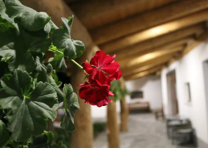 דירה Komfort Badacsonytördemic